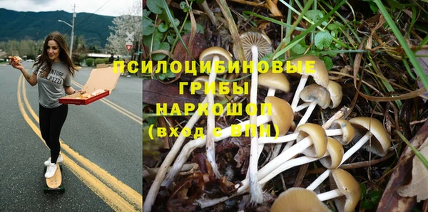 меф Алексин