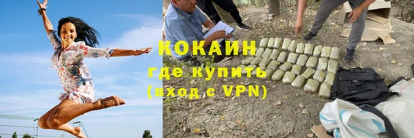 ПСИЛОЦИБИНОВЫЕ ГРИБЫ Няндома