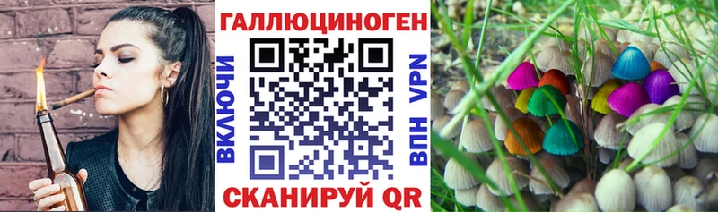 Галлюциногенные грибы GOLDEN TEACHER  даркнет телеграм  Спасск  ссылка на мегу как зайти 